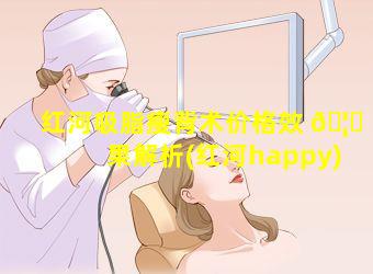 红河吸脂瘦背术价格效 🦉 果解析(红河happy)